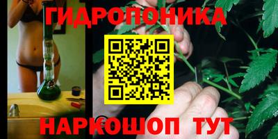 стаф Новокубанск