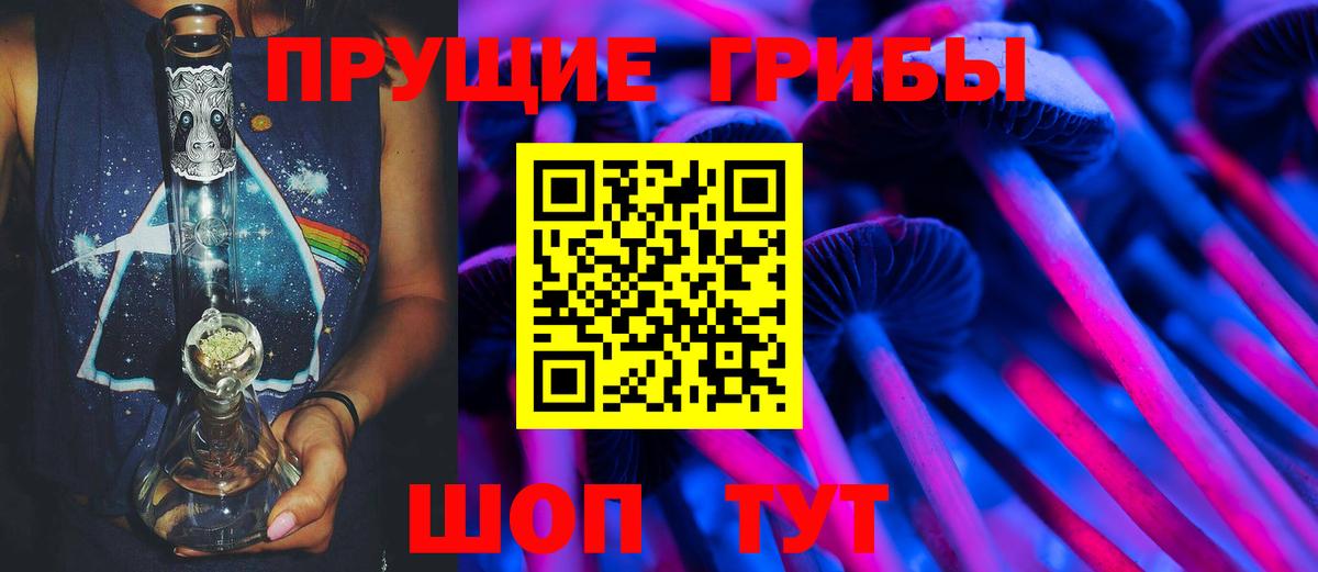 Старая Купавна  Псилоцибиновые грибы мухоморы  Вход с VPN 
