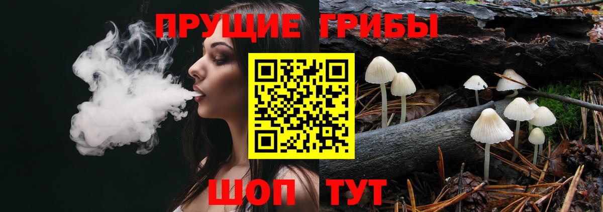 Галлюциногенные грибы Cubensis Старая Купавна